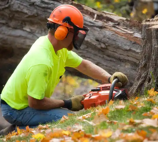 tree services Standish